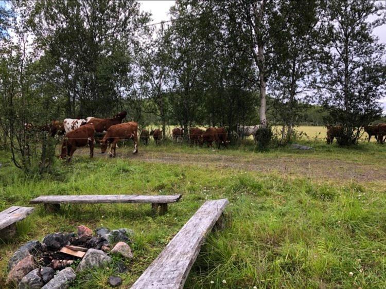 Villa Kulpmo Gard Jarfjord-Kirkenes Esterno foto