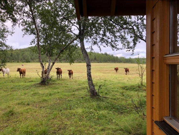 Villa Kulpmo Gard Jarfjord-Kirkenes Esterno foto