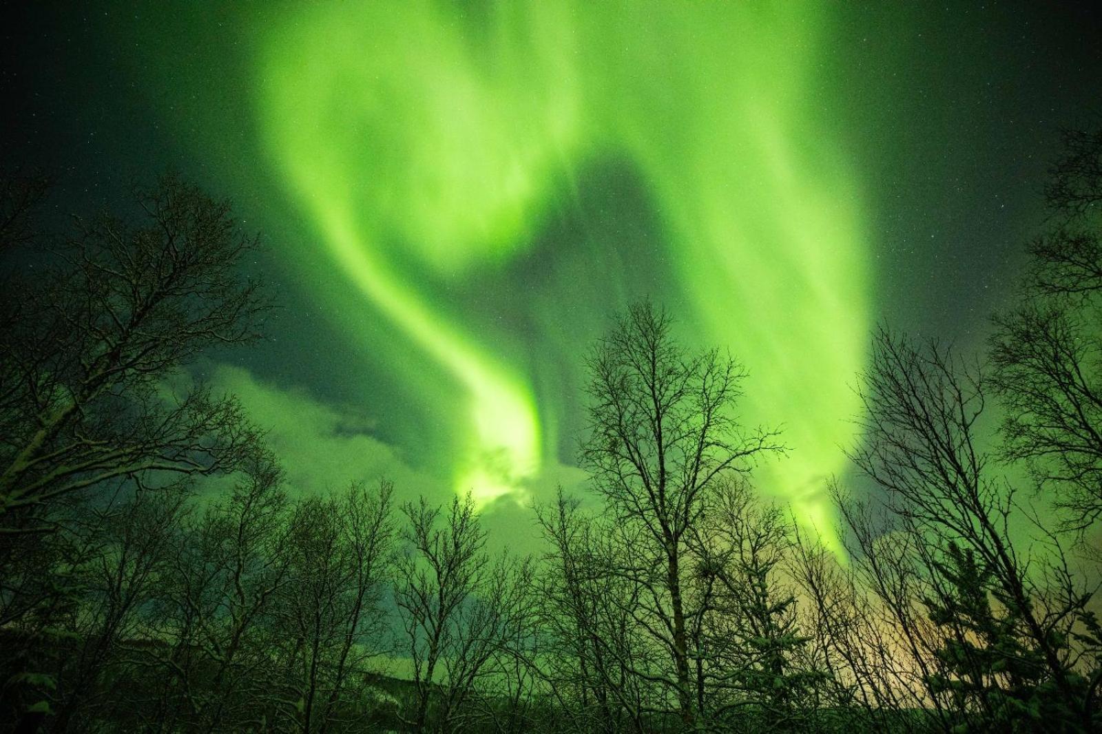 Villa Kulpmo Gard Jarfjord-Kirkenes Esterno foto